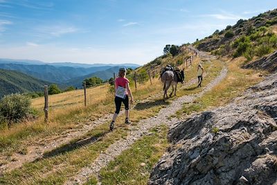 voyage Des Cévennes et des ânes