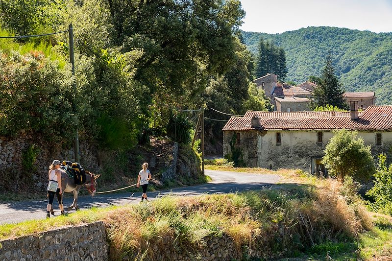 Des Cévennes et des ânes