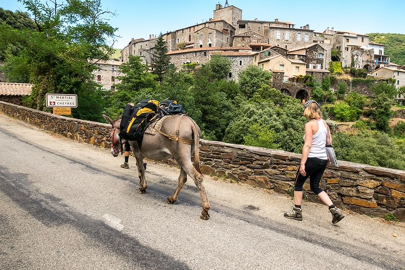 Des Cévennes et des ânes