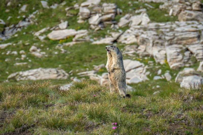 Multi-activités en famille dans le Queyras