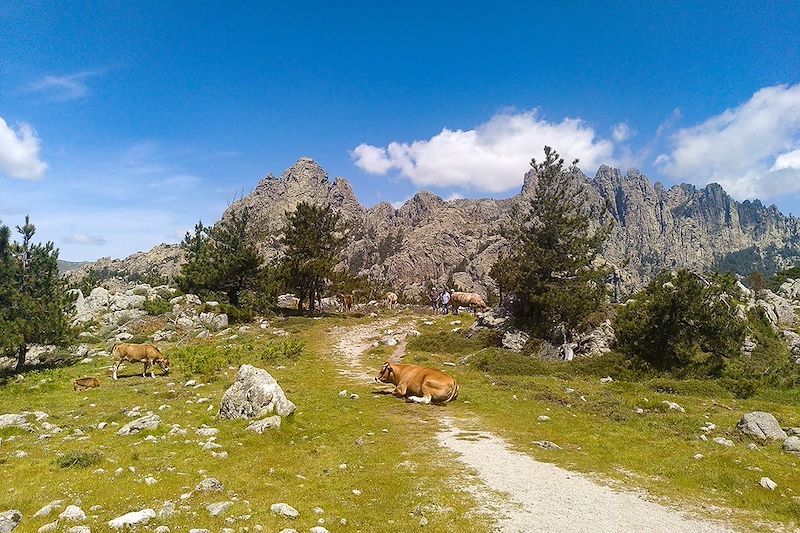 Randonnée vers les Aiguilles de Bavella - Corse - France