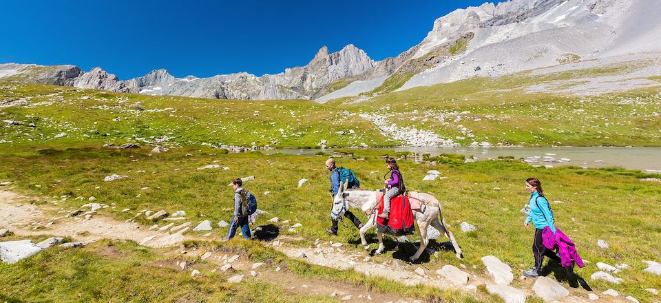Magnifique randonnée itinérante en famille au pas des ânes dans les montagnes de la Vanoise et nuitées en refuges