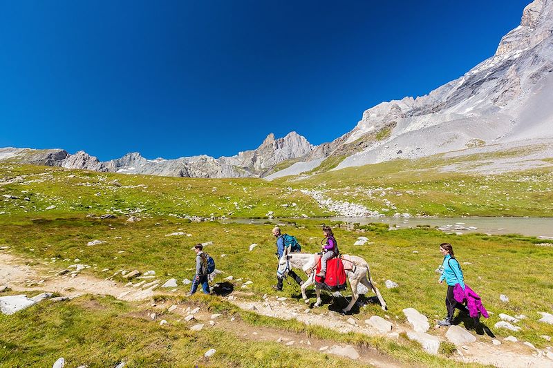 Ainsi vont les ânes en Vanoise