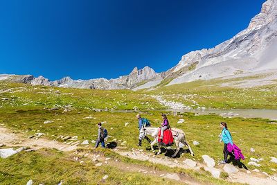 voyage Ainsi vont les ânes en Vanoise