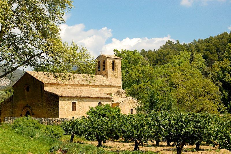 Vaugines - Luberon - France