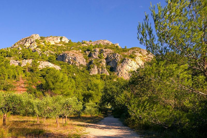 Gorges de Regalon - France - Luberon - France