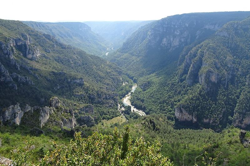 Les Cévennes intimes