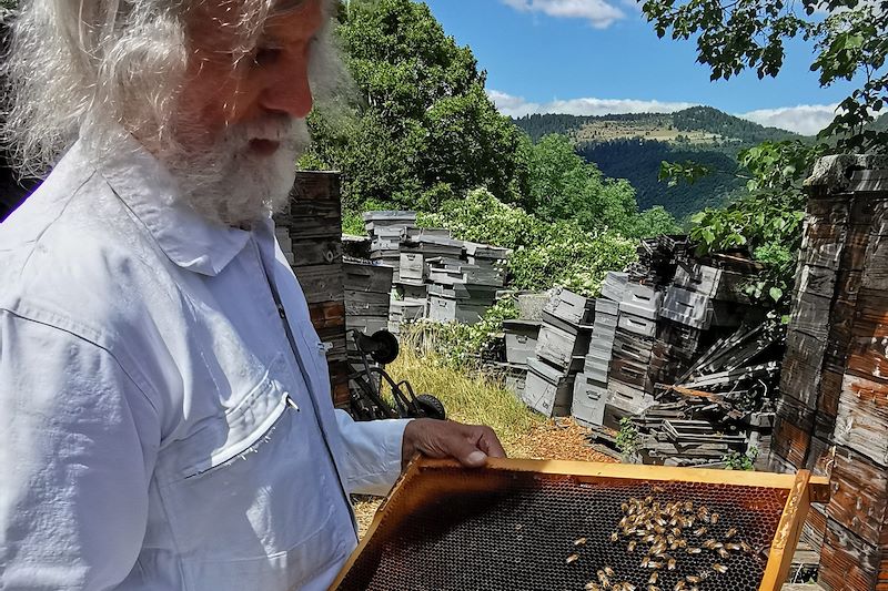 Les Cévennes intimes