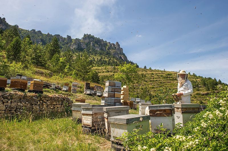 Les Cévennes intimes