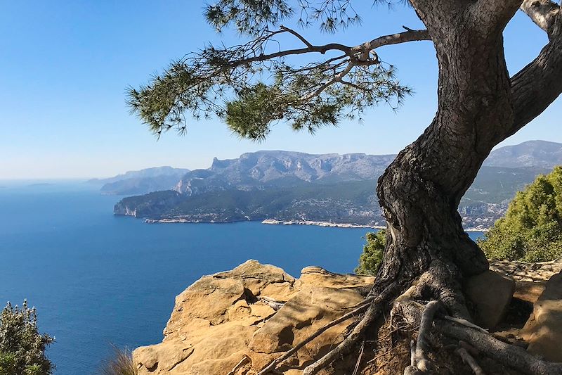 Rando et yoga au cœur des Calanques ! 