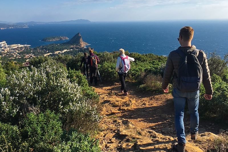 Rando et yoga au cœur des Calanques ! 