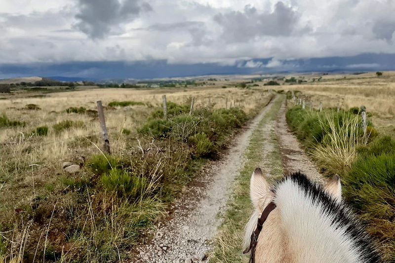 Chasse au trésor en Aubrac