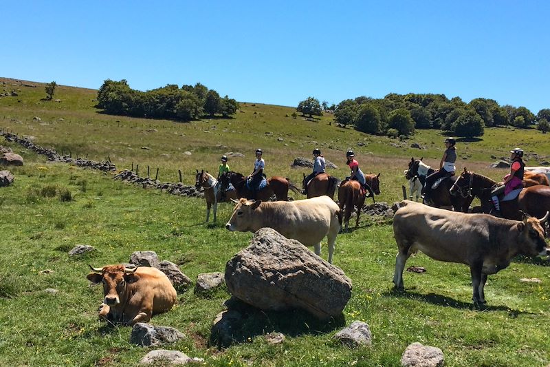 Balade à cheval dans l'Aubrac - France