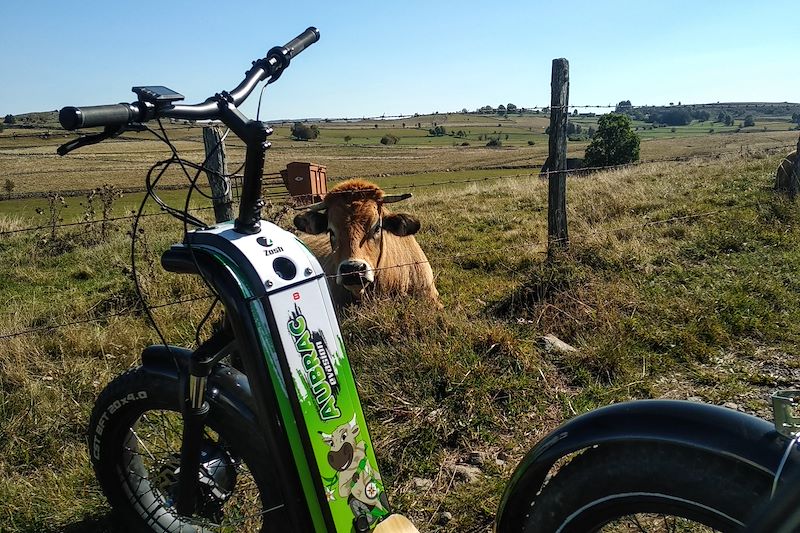 Trottinette électrique en Aubrac - France