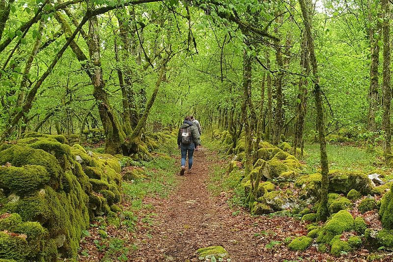 Jeûne, yoga, et rando en Occitanie