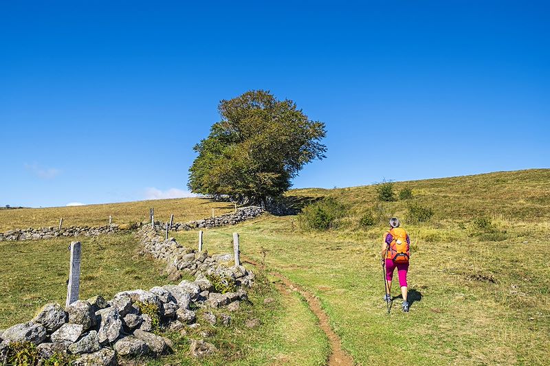 Yoga en Aubrac