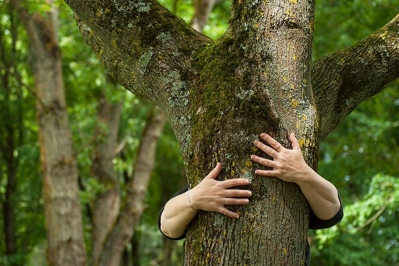 Yoga en Aubrac