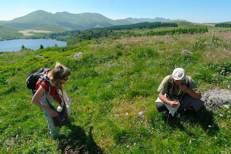 Randonnée botanique en Auvergne avec un duo de guides spécialistes. Un court séjour original en pleine nature.