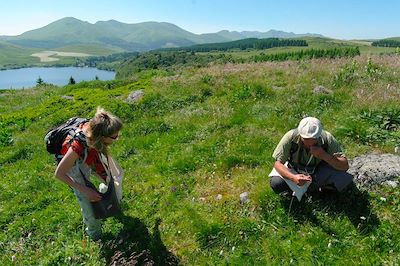 voyage À la rencontre de nos plantes sauvages