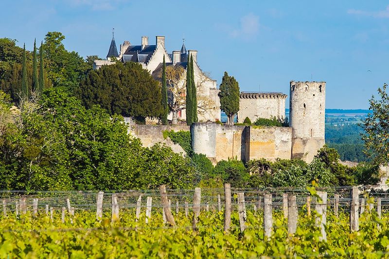 Château de Chinon - France