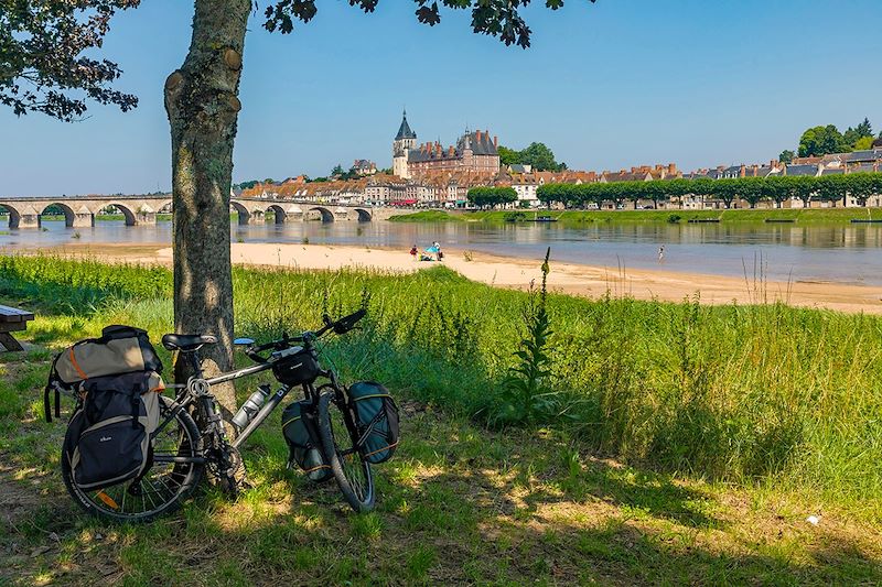 La Loire sauvage, l'échappée belle