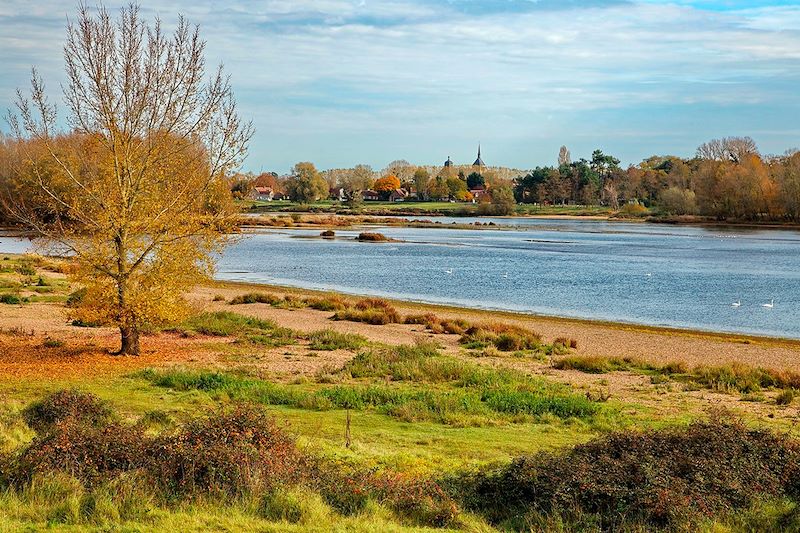 La Loire sauvage, l'échappée belle