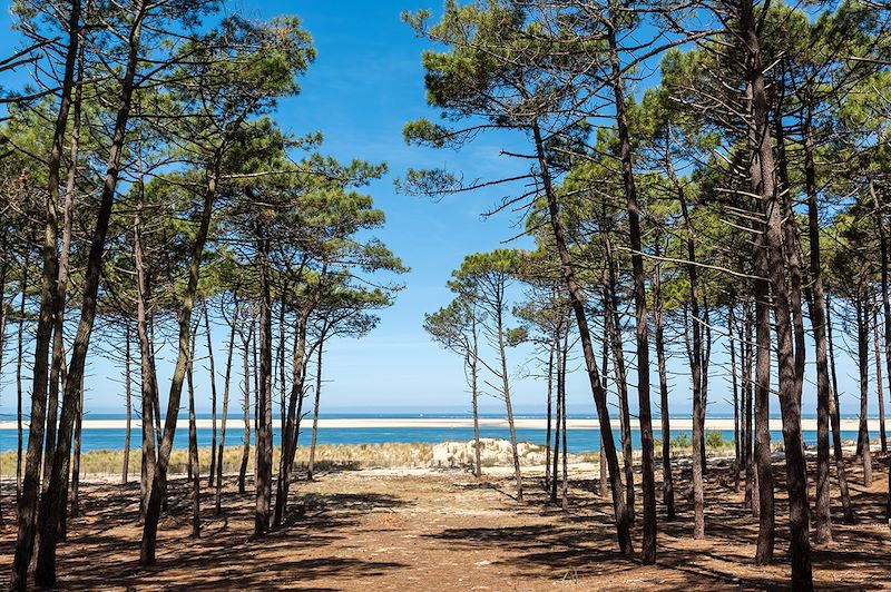 Vue sur le banc d'Arguin - Basson d'Arcachon - France