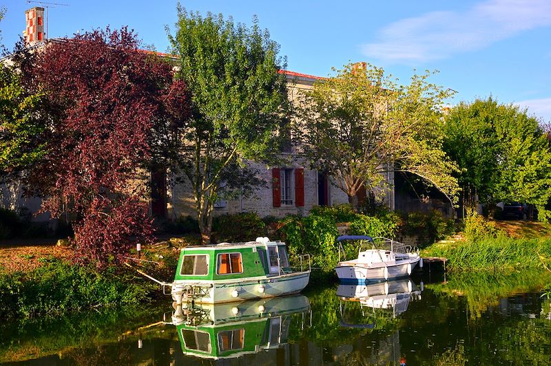 Deux bateaux sur la Sèvre Nortaise à Damvix -  Pays de la Loire - France