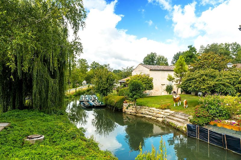 Le Marais Poitevin à bicyclette