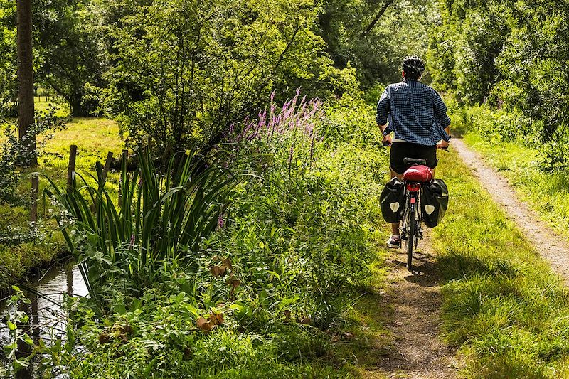 Cycliste le long d'un canal du Marais Poitevin - France