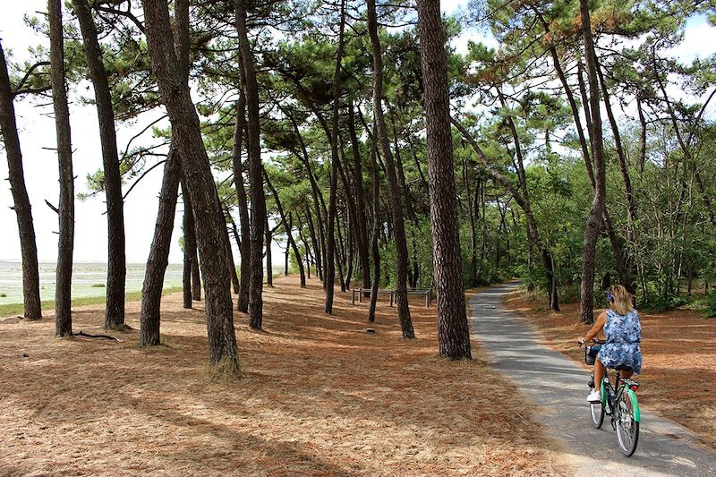 Vélodyssée et canal des Deux-Mers