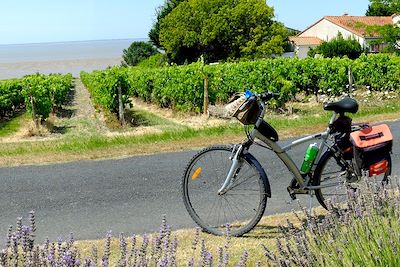 Vélodyssée et canal des Deux-Mers 4
