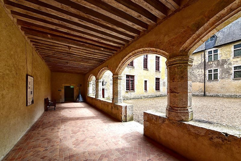 Château de Fougères-sur-Bièvre - Centre-Val de Loire - France