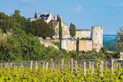 La Loire à vélo, l'aventure électrique 3