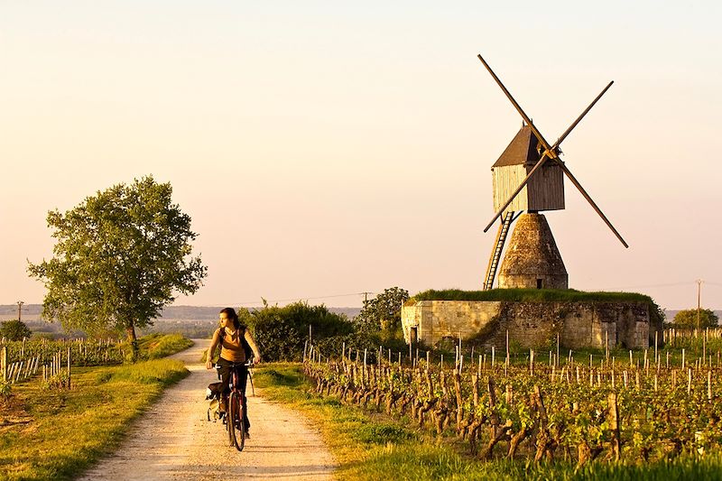 La Loire à vélo, l'aventure électrique