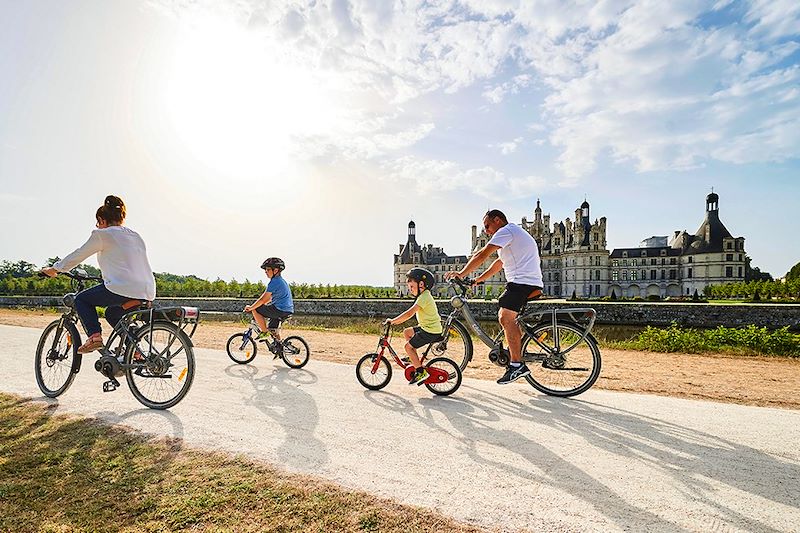 La Loire à vélo en 4 jours, une jolie boucle pour les familles au départ de Blois sur la piste des rois de France et de Tintin.