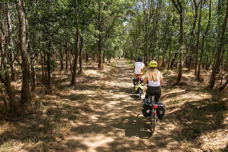 Cyclistes dans une forêt - Pays de la Loire - France