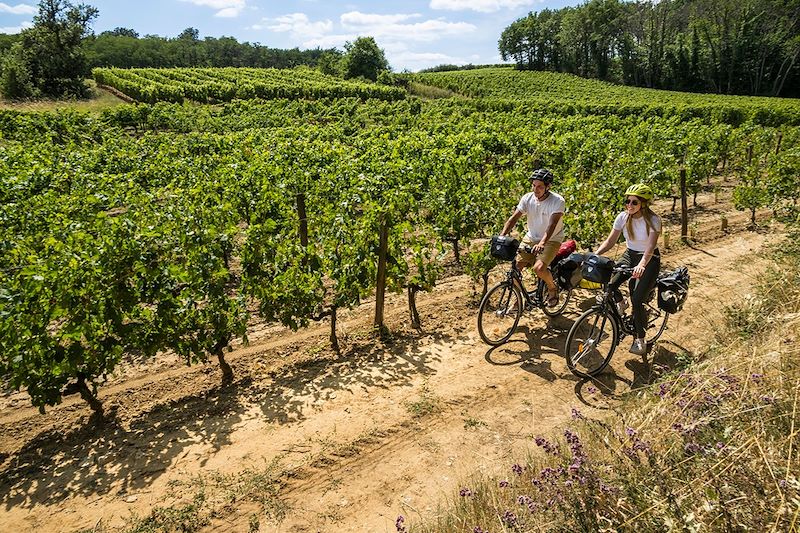 Cyclistes près d'un vignoble - Pays de la Loire - France
