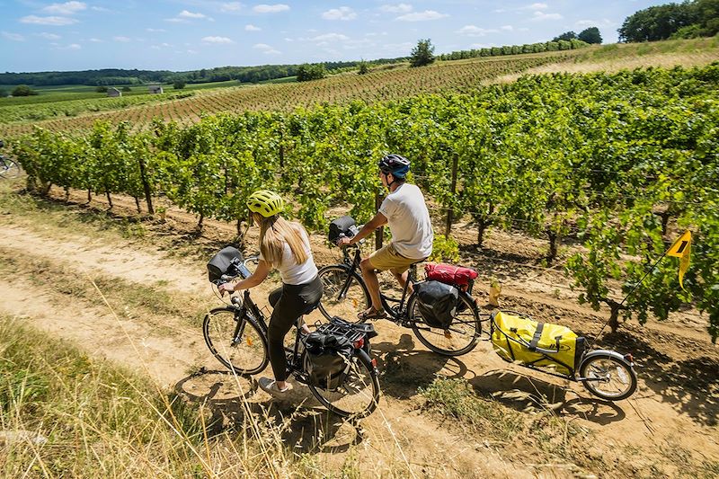 Cyclistes près d'un vignoble à Dampierre à l'Est de Saumur - France