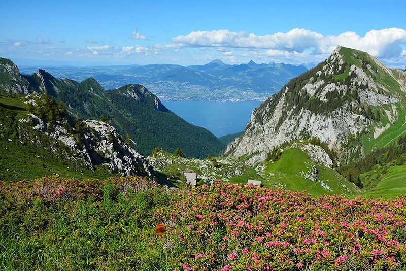 Un séjour randonnée en étoile en hôtel** sur les hauteurs du plus grand lac d'Europe pour une relaxation complète!