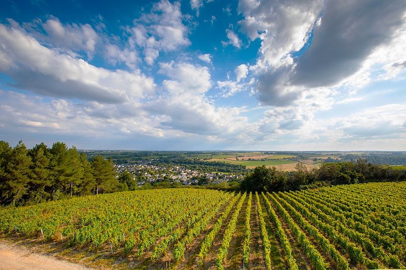 Coteaux du Layon - France