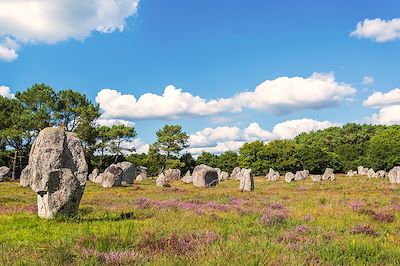 Le Golfe du Morbihan à vélo 3