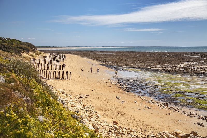 Plage de Gatseau - Île d'Oléron - France