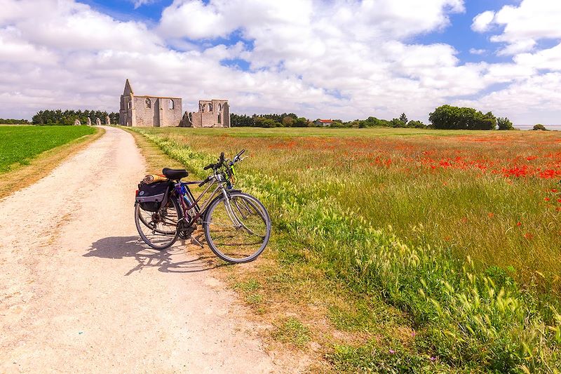 La Vélodyssée en charentaise