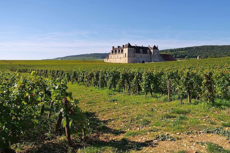Voies vertes et vignobles de Bourgogne
