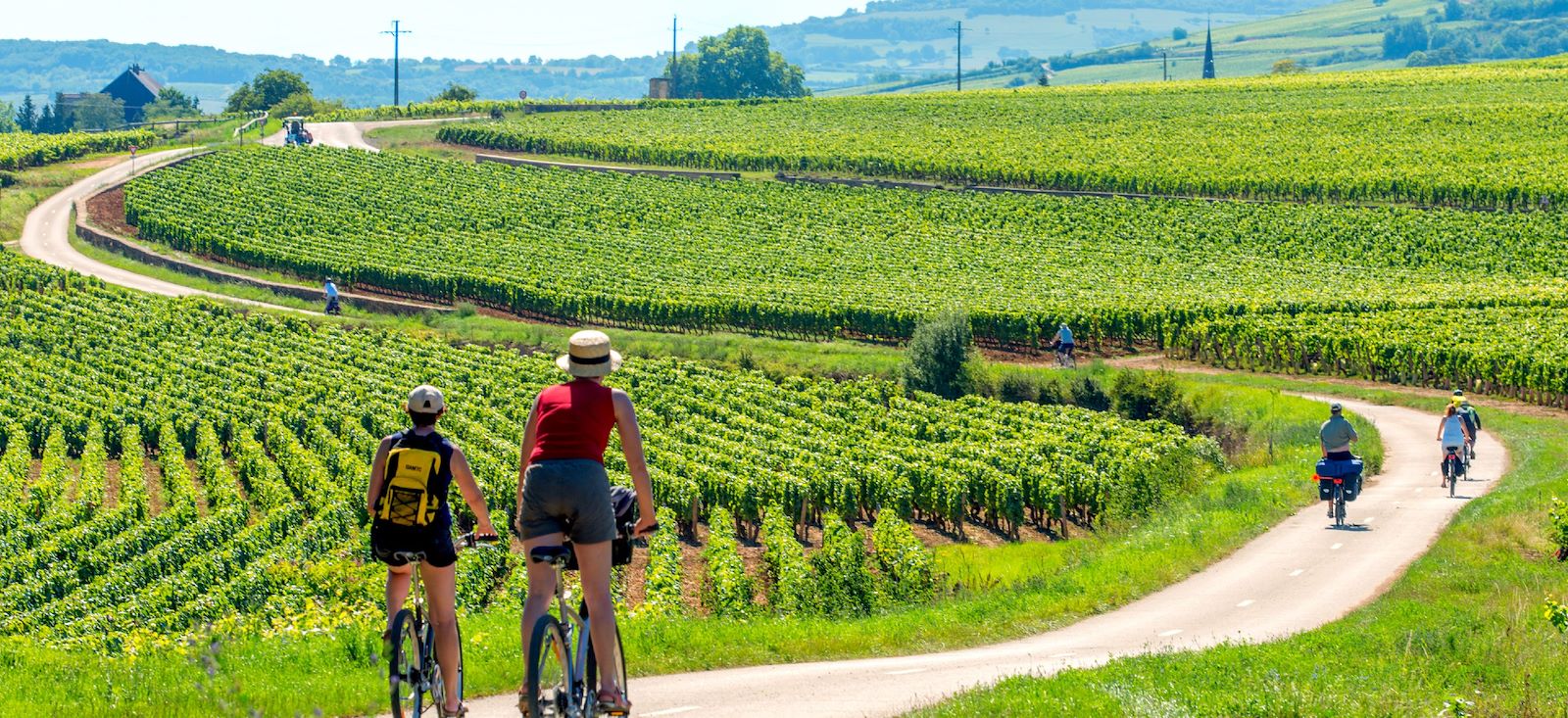 Voies vertes et vignobles de Bourgogne