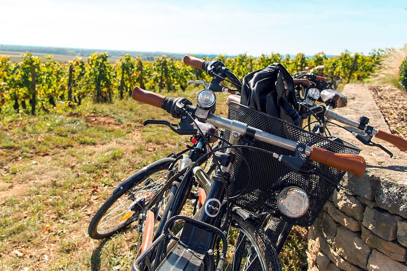 Vélos dans les vignobles - Bourgogne-Franche-Comté - France