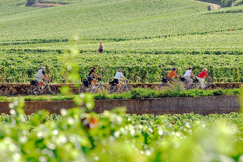 Au coeur des vignes - Bourgogne - France