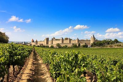 voyage Le canal du Midi à vélo