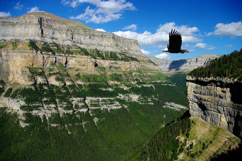 Les grands cirques pyrénéens